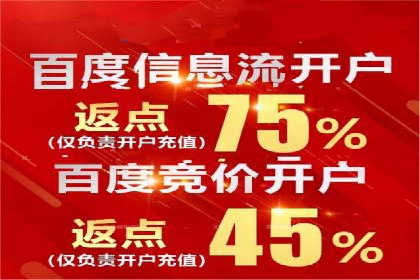 竞价端口开户全攻略，案例分析